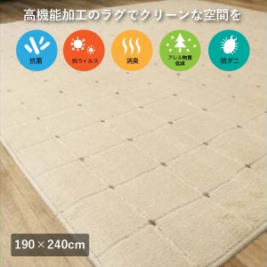 抗ウィルス、抗アレル物質、抗菌、消臭、防ダニ【PT-5】カーペット 190×240 ベージュ [0922]