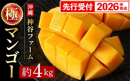 【化粧箱入】【先行受付・2026年発送】神谷ファームのマンゴー（極）約4Kg - 先行予約 沖縄県産 産地直送 南国フルーツ 旬の味覚 季節の果物 贈り物 ギフト 沖縄県 八重瀬町
