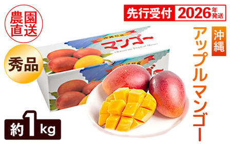 【化粧箱入】【先行受付・2026年発送】ヤマト農園 アップルマンゴー約1kg（秀品）- 先行予約 沖縄県産 産地直送 南国フルーツ 旬の味覚 季節の果物 贈り物 ギフト 沖縄県 八重瀬町