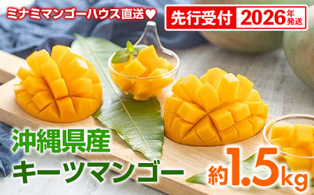 【先行予約】【2026年発送】ミナミマンゴーハウスのキーツマンゴー約1.5kg - 先行予約 産地直送 沖縄産 国産 果物 フルーツ 南国フルーツ トロピカルフルーツ 旬の味覚 人気 おすすめ 送料無料 沖縄県 八重瀬町