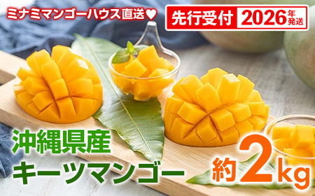 【先行予約】【2026年発送】ミナミマンゴーハウスのキーツマンゴー約2kg - 先行予約 産地直送 沖縄産 国産 果物 フルーツ 南国フルーツ トロピカルフルーツ 旬の味覚 人気 おすすめ 送料無料 沖縄県 八重瀬町