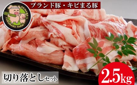 【ブランド豚・キビまる豚】切り落とし　約2.5kg - 豚肉 小分け 500gずつ 部位混合 色々楽しめる 人気 しょうが焼き 肉じゃが 豚丼 豚キムチ 肉巻き アレンジ 色々 人気 ブランド豚 おすすめ 沖縄県 八重瀬町【価格改定】