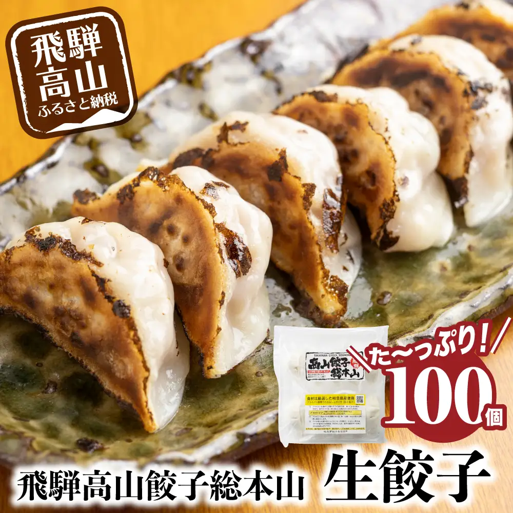 【ふるなび限定】餃子 100個入 餃子  FN002 FN-Limited-PR