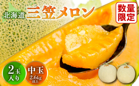 《2026年分受付中》とろける食感と甘い香り北海道三笠メロン2玉入（2.6kg以上）【0100104】