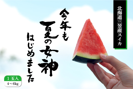 《2026年分受付中》『夏の女神』種が少なくて甘い黒皮スイカ1玉入（中玉4～6kg）【01005】