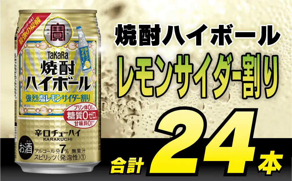 DD056 タカラ 焼酎ハイボール 強烈塩レモンサイダー割り 350ml 24本 [長崎県 島原市]
