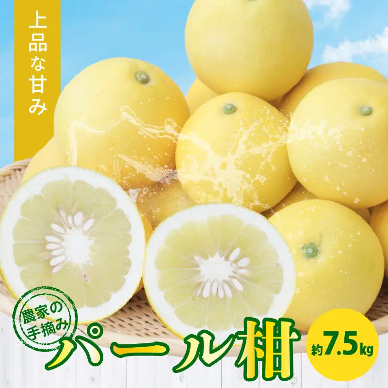 S040-022A_農家の手摘み パール柑 約7.5kg〈先行予約〉 先行予約 柑橘 約 7.5kg 天草産 果物 フルーツ 真珠 手摘み 固め 食感 食べ応え 果肉 上品 甘み おいしい おすすめ 人気 予約受付 常温 お取り寄せ お取り寄せフルーツ 熊本県 天草市 送料無料