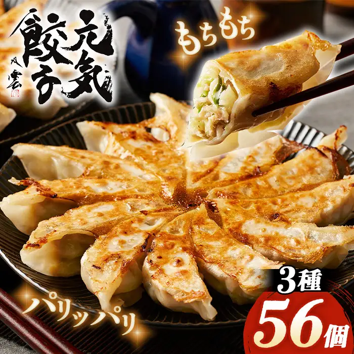 元気餃子のこだわり餃子3種セット（56個入り/冷凍生餃子） 食べ比べ ギョーザ専門店 中華総菜 点心 もちもち パリパリ No.010