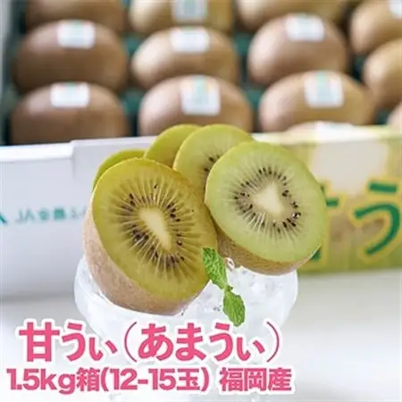 【先行受付】福岡限定!ブランドキウイ「甘うぃ(あまうぃ)」約1.5kg箱(12-15玉)(大野城市)_キウイ キウイフルーツ フルーツ 果物 くだもの ふるーつ 青果 国産 産地直送 ブランド 福岡 高糖度 送料無料_【配送不可地域：離島】【1125950】