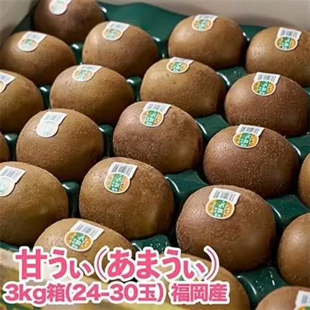 【先行受付】福岡限定!ブランドキウイ「甘うぃ(あまうぃ)」約3kg箱(24-30玉)(大野城市)_キウイ キウイフルーツ フルーツ 果物 くだもの ふるーつ 青果 国産 産地直送 ブランド 福岡 高糖度 送料無料 贈答_【配送不可地域：離島】【1125951】
