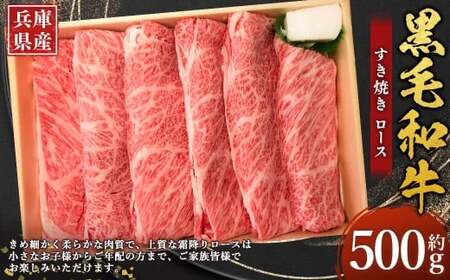 牛肉 兵庫県産 黒毛和牛 すき焼き ロース 約500g×1パック 肉 ニク にく 牛