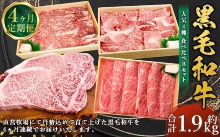 【4回定期便】牛肉 兵庫県産 黒毛和牛 人気4種 食べ比べ B 肉 ニク にく 牛
