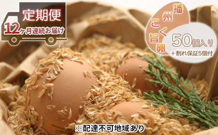 卵 定期便 12ヶ月 播州こく旨卵 50個入り＋割れ保証5個付 高級 たまご 鶏卵 高級卵 高級たまご ビタミンE ビタミン TKG 卵かけご飯 送料無料 冷蔵 冷蔵配送 兵庫 兵庫県 小野市 定期 12回