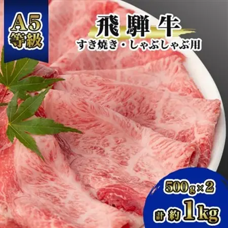 飛騨牛A5等級　モモ・カタ肉スライス　約1kg(500g×2)　すき焼き・しゃぶしゃぶ用　黒毛和牛【配送不可地域：離島】【1125925】