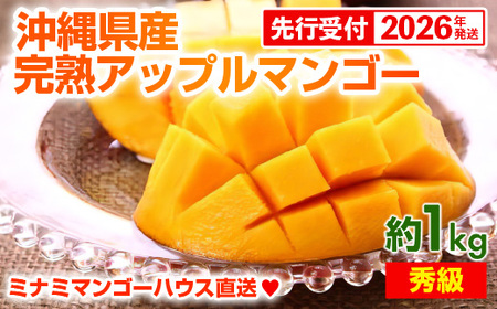 【先行受付】【2026年発送】ミナミマンゴーハウスの完熟アップルマンゴー【秀】約1kg（2～3玉）- 先行予約 沖縄県産 産地直送 南国フルーツ 旬の味覚 旬のフルーツ 贈り物 ギフト 沖縄県 八重瀬町