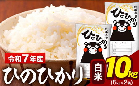 令和7年産 白米 米 ひのひかり 10kg (5kg×2)《7-14日以内に出荷予定(土日祝除く)》