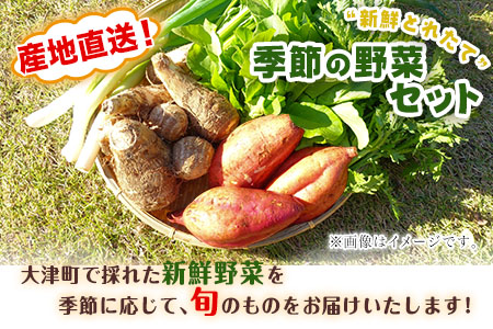 熊本県大津町産 季節の野菜セット(6～8種類)《60日以内に出荷予定(土日祝除く)》野菜 冷蔵 JA菊池 大津中央支所 とれたて市場