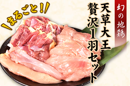 天草大王　贅沢1羽セット《60日以内に出荷予定(土日祝除く)》約1.5kg【幻の地鶏】もも・むね・ささみ 各2枚 熊本県産 あそ大王ファーム株式会社