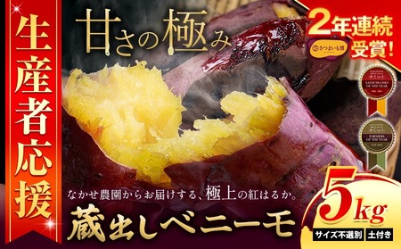さつまいも 蔵出しベニーモ 約5kg さつまいも