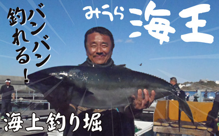 「海上釣り堀みうら海王」無料招待券 M028-001 チケット 体験