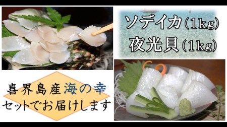 【2025年12月から発送】【真空冷凍】夜光貝の刺身１ｋｇ・冷凍ソデイカ１ｋｇセット