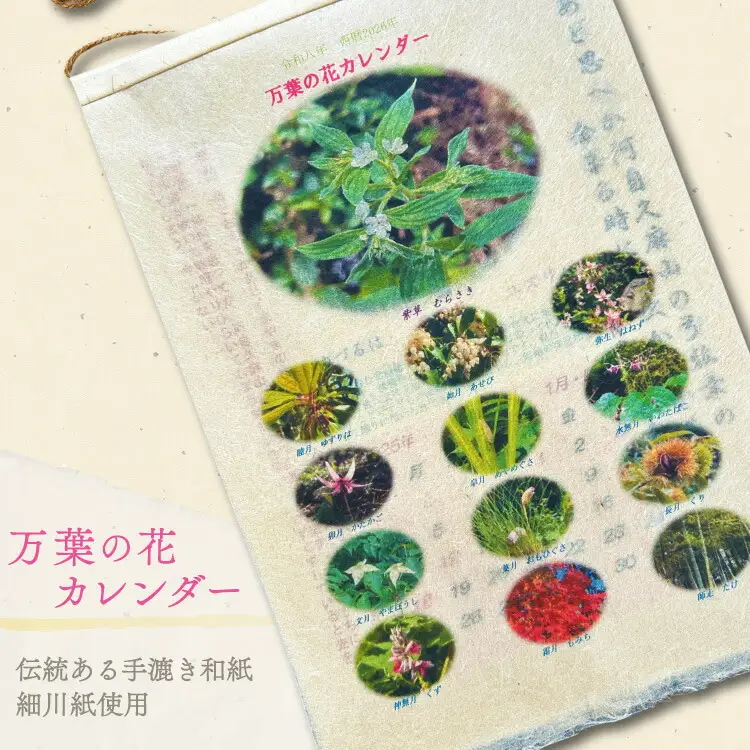 万葉の花カレンダー（細川紙） 新年度 令和8年版 [NPO法人紫草と万葉の会 埼玉県 小川町 045]