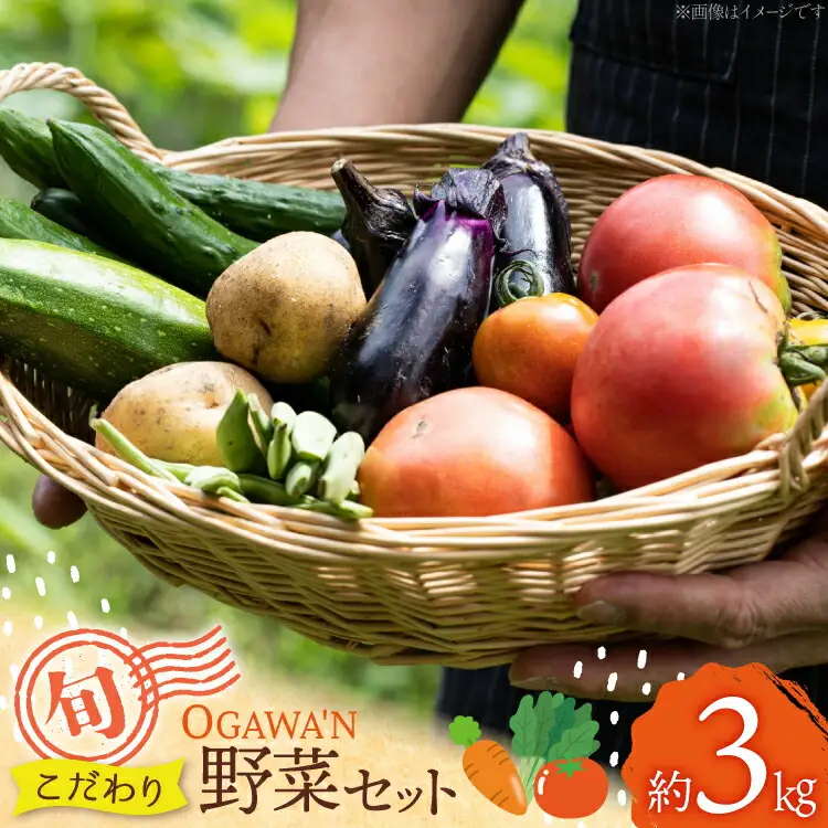 野菜 詰め合わせ 約3kg OGAWA'N [JA埼玉中央 埼玉県 小川町 135]