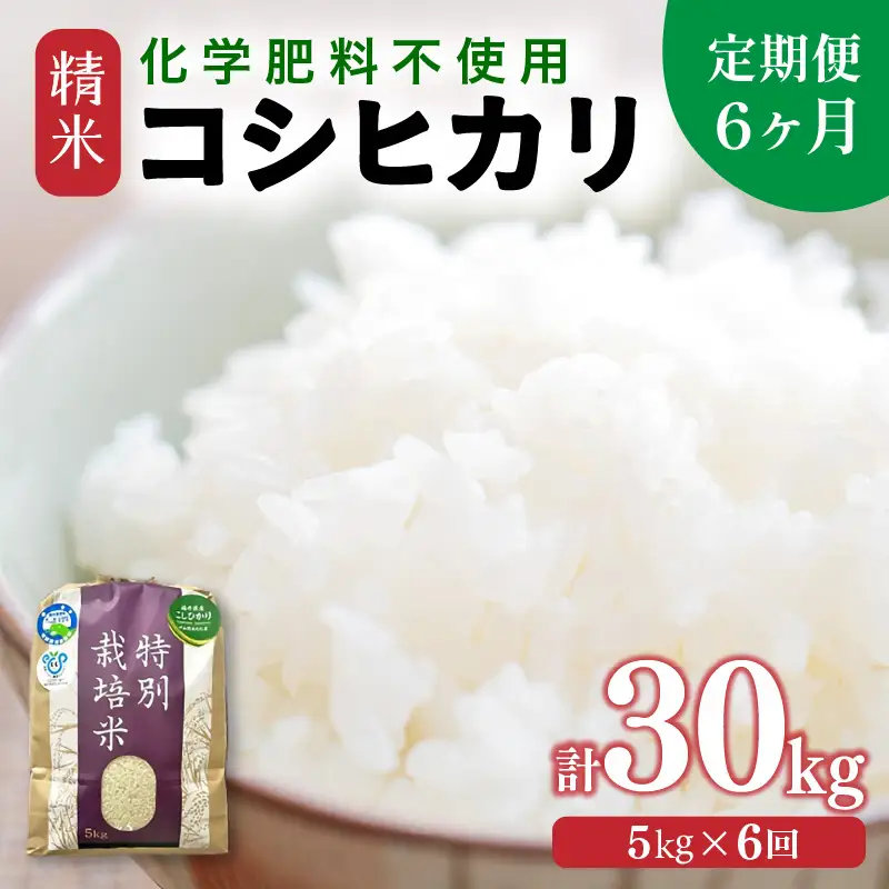 【先行予約】【令和8年産】【定期便6回】 化学肥料不使用コシヒカリ 精米 5kg×6回 （計30kg）/ 白米 米 福井県あわら市産 美味しい 特別栽培米 減農薬 安心な米 旨味 甘み もっちり エコファーマー こしひかり 冷蔵保管米 ※2026年10月上旬以降発送予定 [aw010-f010]