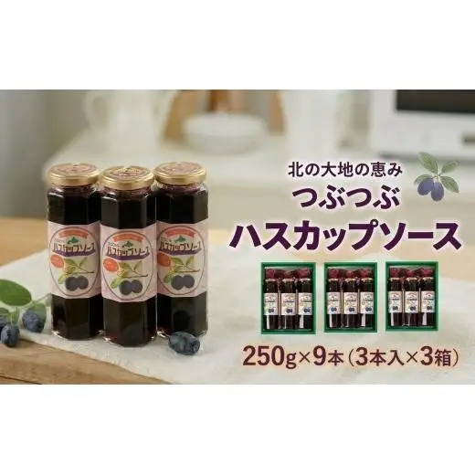 ＜北の大地の恵み＞つぶつぶハスカップソース　ギフトセット　250g×9本