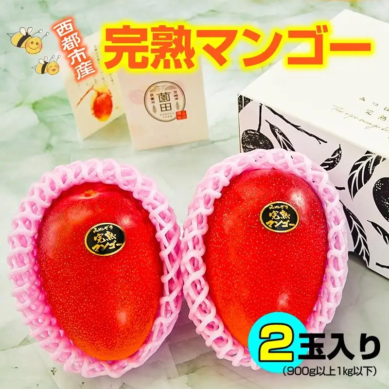 西都市産完熟マンゴー2玉（900g～1kg）薗田農園 【先行予約】＜37-1a＞2026年発送