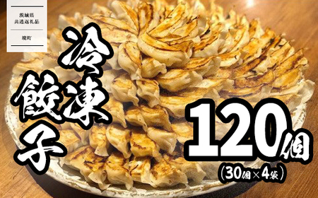 【茨城共通返礼品】 2026年5月発送 ローズポーク使用 道の駅さかい 特製冷凍餃子 120個 K1497