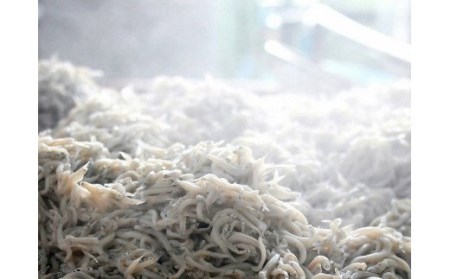 しらす漁師直売！「湘南釜揚げしらす・沖漬けセット」C M050-003 魚 冷凍