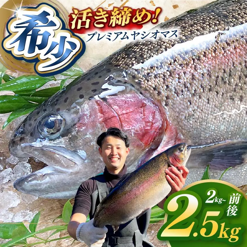 栃木県のブランド魚「プレミアムヤシオマス」丸1尾 新鮮 活け締め｜鮮魚 鱒 国産 産地直送  