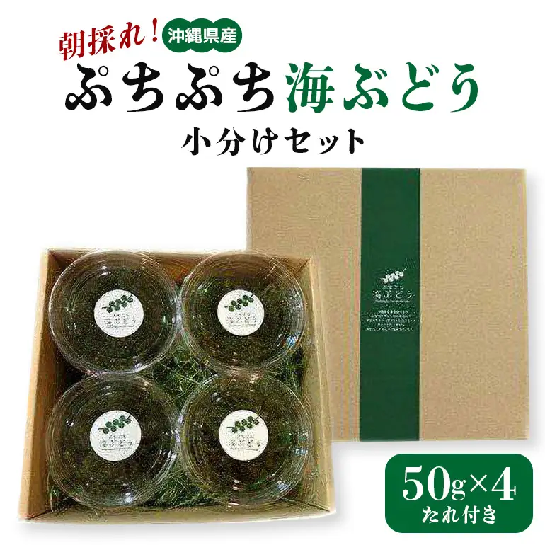 朝採れ! ぷちぷち 海ぶどう 小分け セット 200g 沖縄県産 海ブドウ たれ付き 無着色 沖縄 特産品 沖縄グルメ 海の宝石 海藻 海ぶどう丼 サラダ おつまみ おかず 沖縄料理 常温保存 贈答用 ギフト 産地直送 沖縄県 糸満市