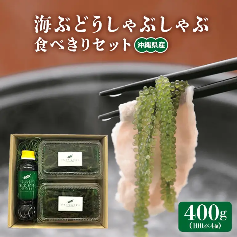 海ぶどう しゃぶしゃぶ 食べきり セット 海ブトウ 100g×4個 シークワーサー塩ぽん酢 1本 沖縄県産 無着色 沖縄 特産品 沖縄グルメ 海藻 海ぶどう丼 サラダ おつまみ おかず 沖縄料理 常温保存 シークワーサー ポン酢 ポン酢 産地直送 沖縄県 糸満市