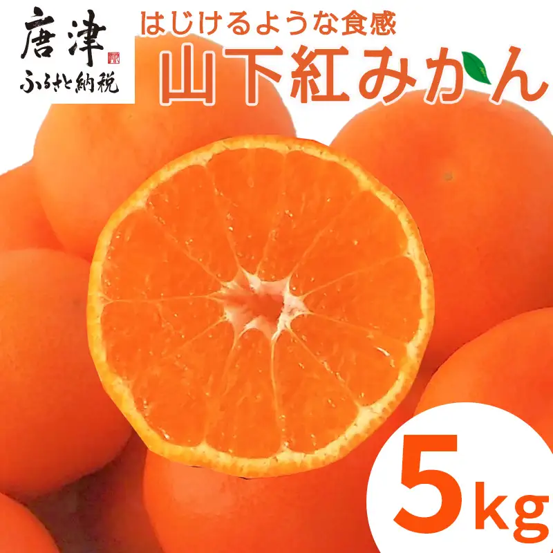 『先行予約』【令和8年11月発送】山下紅みかん(ハウス栽培)唐津産 5kg ミカン 蜜柑 果物 フルーツ