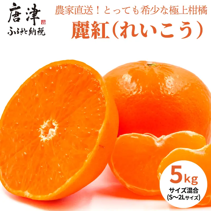 『先行予約』【令和9年1月下旬発送】麗紅(れいこう）ハウス栽培 唐津産 5kg 混合サイズ みかん 蜜柑 柑橘 果物 フルーツ