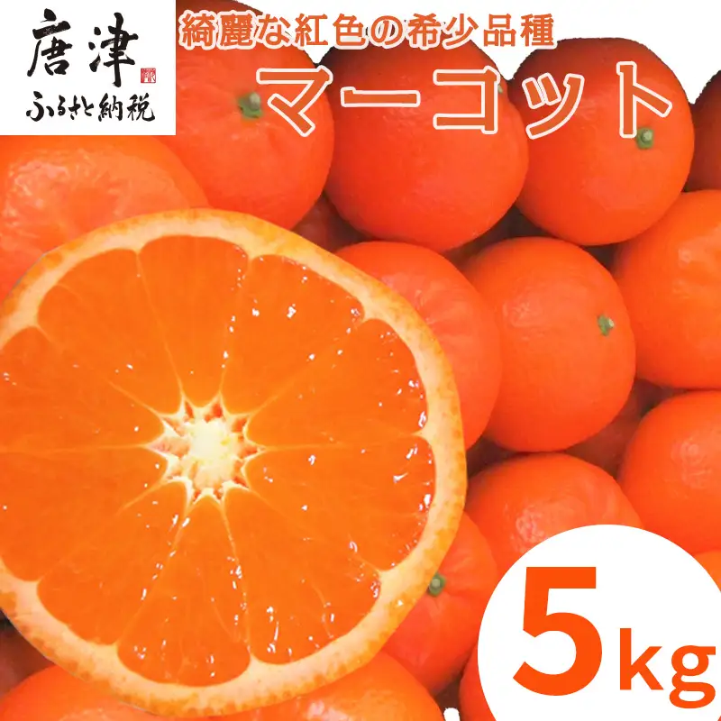 『先行予約』【令和9年2月中旬発送】マーコット（ハウス栽培）唐津産 5kg みかん ミカン 果物 フルーツ