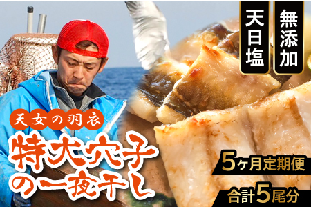 穴子 一夜干 3枚 300g以上【穴子 国産 合計300g以上 穴子干物 3枚 魚介類 魚 あなご アナゴ 干物 食べ切りサイズ 無添加 天日塩 新鮮 冷凍 真空パック 贈答 ギフト 父の日 母の日】