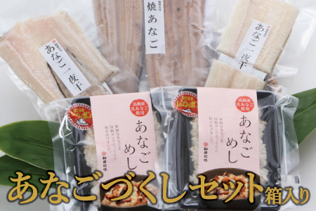 贈答にも最適！あなごづくしセット（箱入り）【穴子 冷凍 焼きあなご 1尾 120g 干物 2袋 あなごめし 150g 2袋 あなご アナゴ 一夜干し 一夜干 ふっくら 肉厚 新鮮 大きい 父の日 母の日】