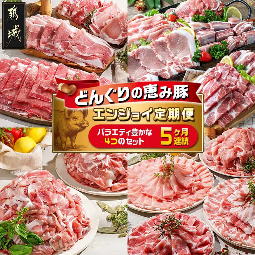 「どんぐりの恵み豚」エンジョイ定期便(5ヶ月)〔T40(5)-1102〕_(都城市) 万能スライスセット キャンプ飯セット こま切れセット しゃぶしゃぶセットなど 毎月お届け 小分け 豚肉セット 冷凍 都城市 豚肉 ロース バラ モモ ウデ スライス スペアリブ 切り落とし ステーキ しゃぶしゃぶ