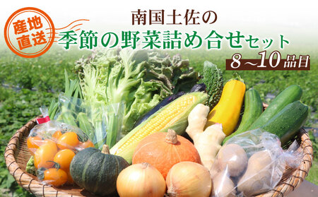 【野菜】農家直送 季節の野菜(8～10種類）