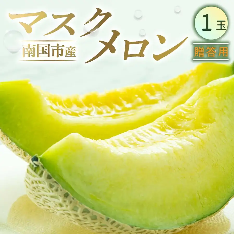 マスクメロン 贈答用 1玉 | 完熟メロン 西島園芸団地