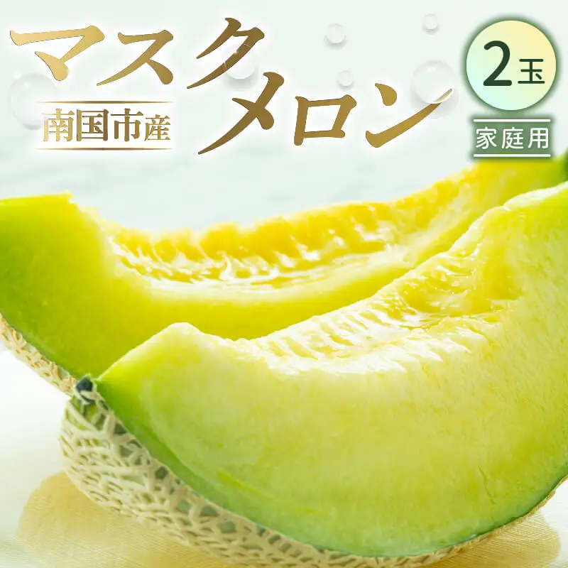 【先行予約】家庭用メロン 2玉 | 西島園芸団地マスクメロン