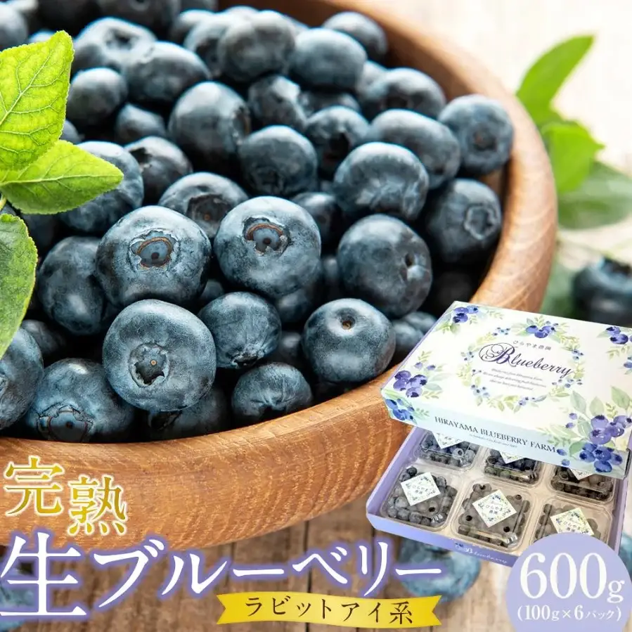 【先行予約】完熟生ブルーベリー ラビットアイ系 600g (2026年7月～発送) | フルーツ 果物 ベリー