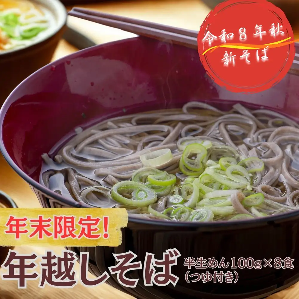 【12/17~28配送】R8秋新そば豊後高田なまそば(100g×8食・つゆ付) | 豊後高田市 年越し