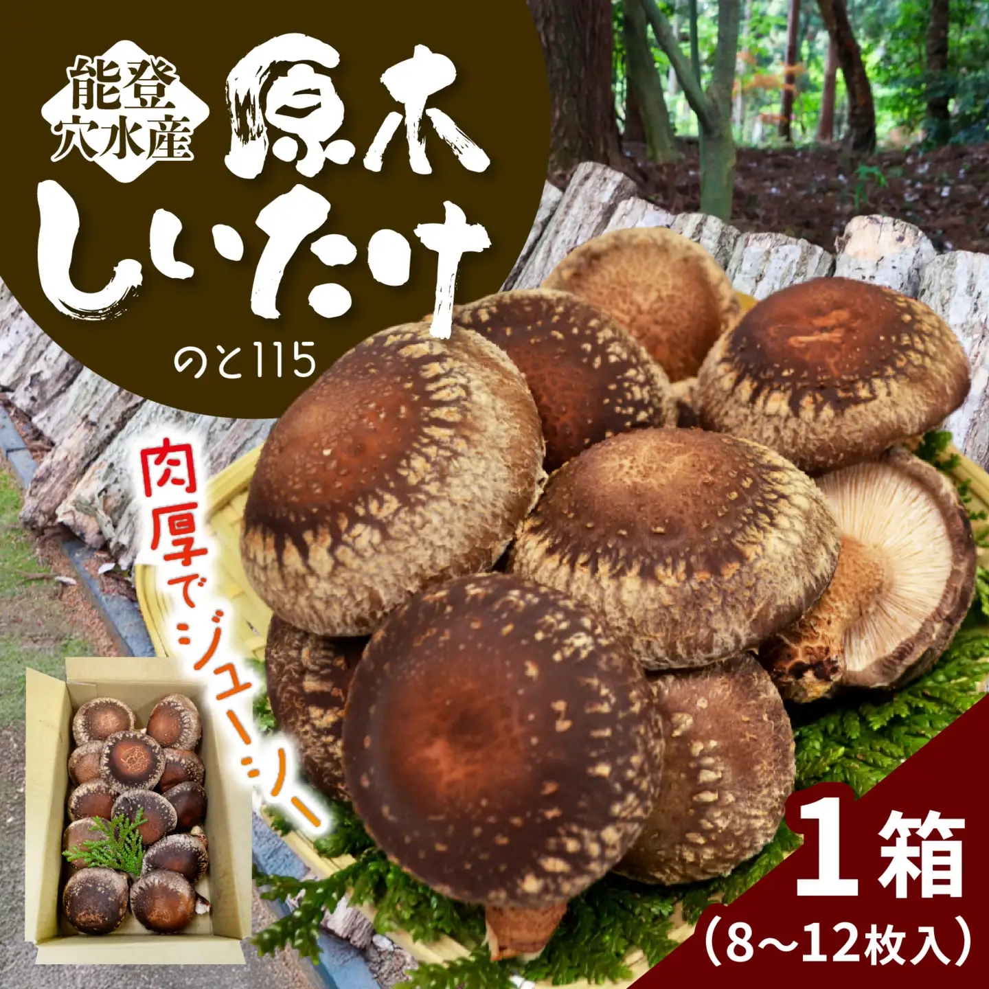 先行予約】奥能登 穴水産 原木しいたけ (のと115) 8～12枚 / しいたけ