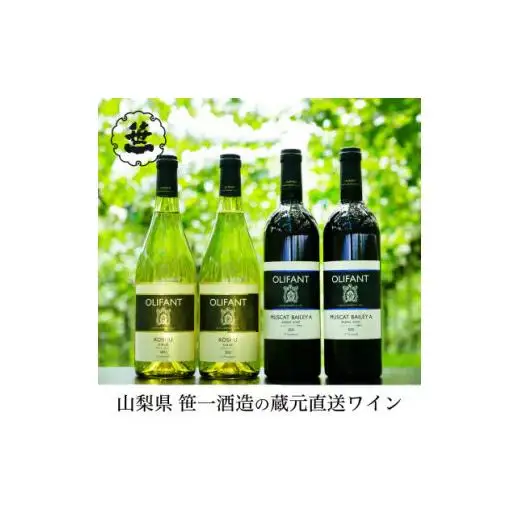 【蔵元直送】笹一酒造のOLIFANT(オリファン)ワイン赤白4本セット