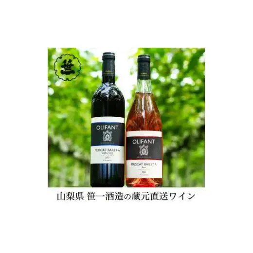 【蔵元直送】笹一酒造のOLIFANT(オリファン)ワイン＜赤・ロゼ＞飲み比べ2本セット