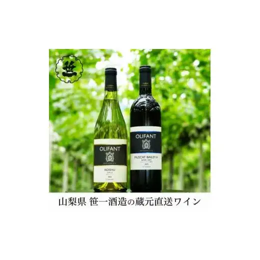 【蔵元直送】笹一酒造のOLIFANT(オリファン)ワイン＜甲州・MBA＞2本セット